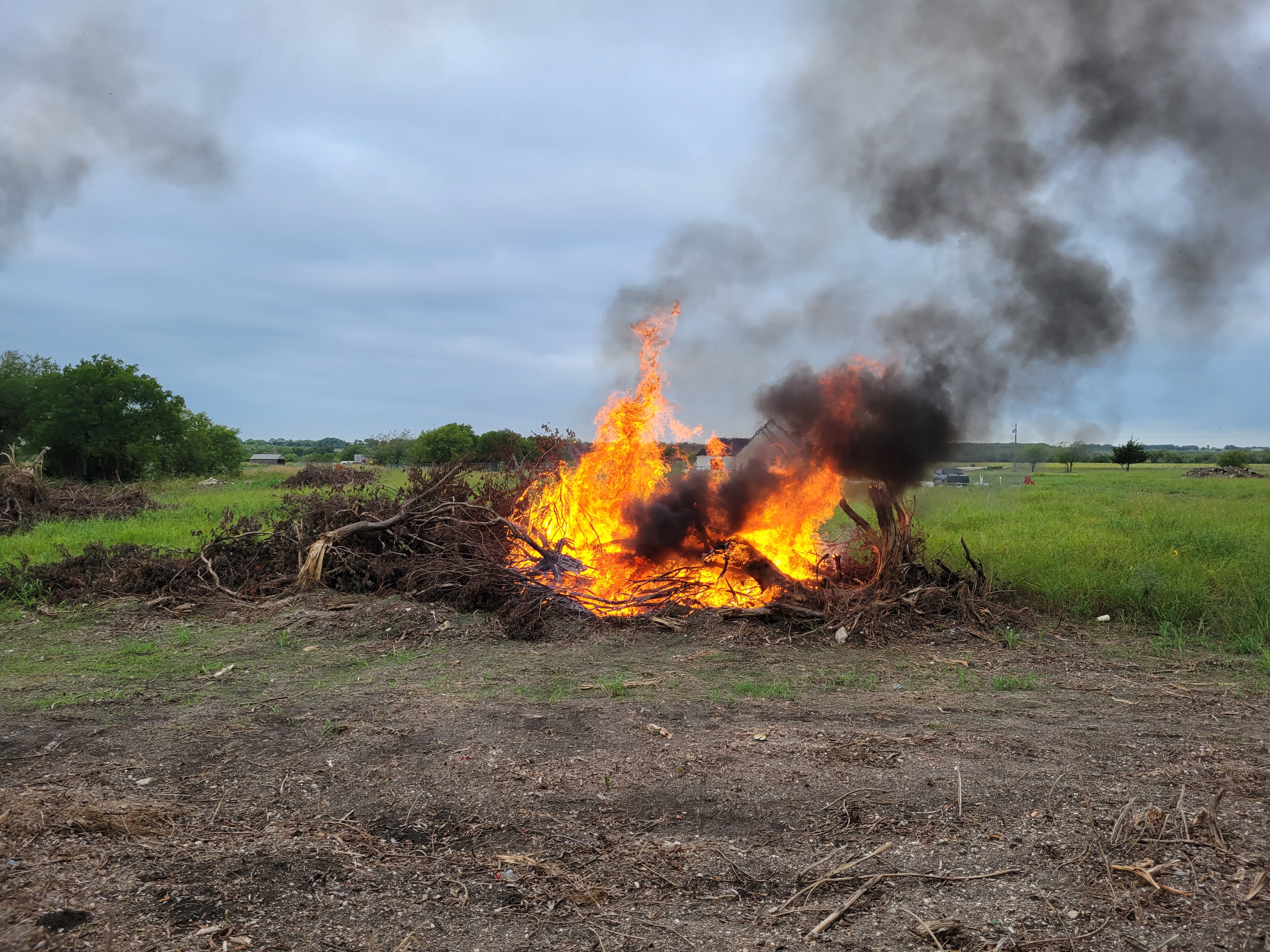 Land Clearing I