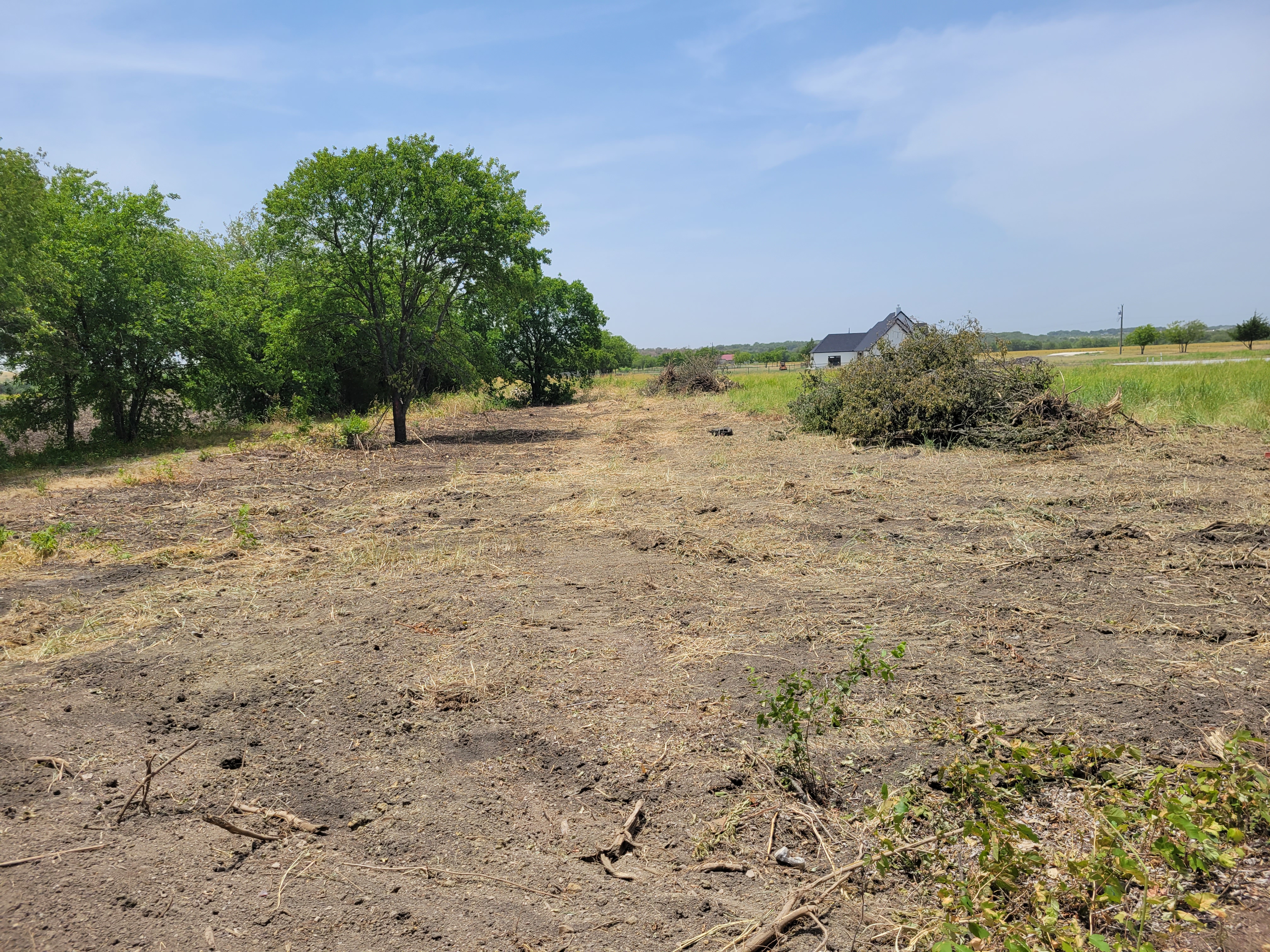 Land Clearing N